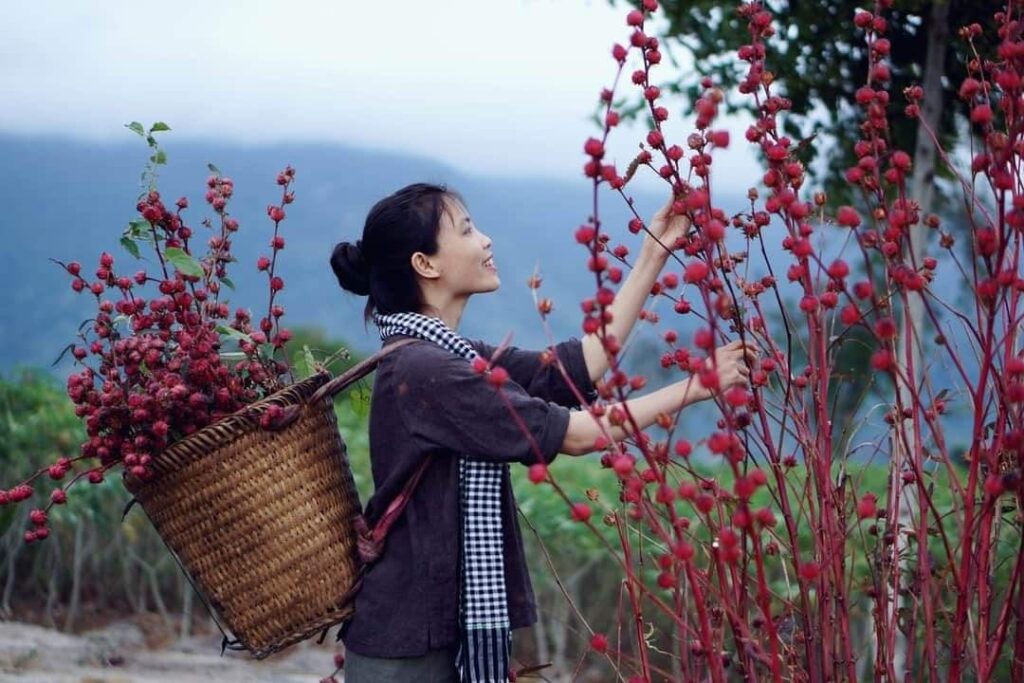 Cô gái bỏ phố về quê cất nhà, trồng rau củ hoa quả