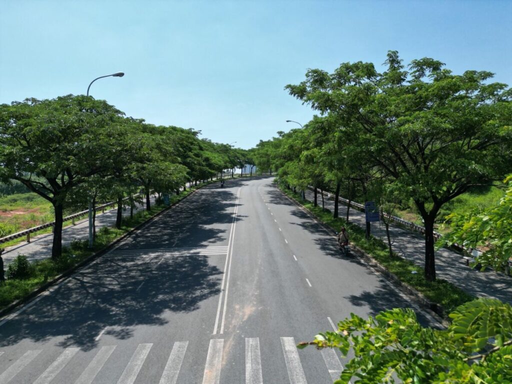 Trải qua mùa nắng nóng cực độ mới thấy giá trị của nơi sống có nhiều cây xanh